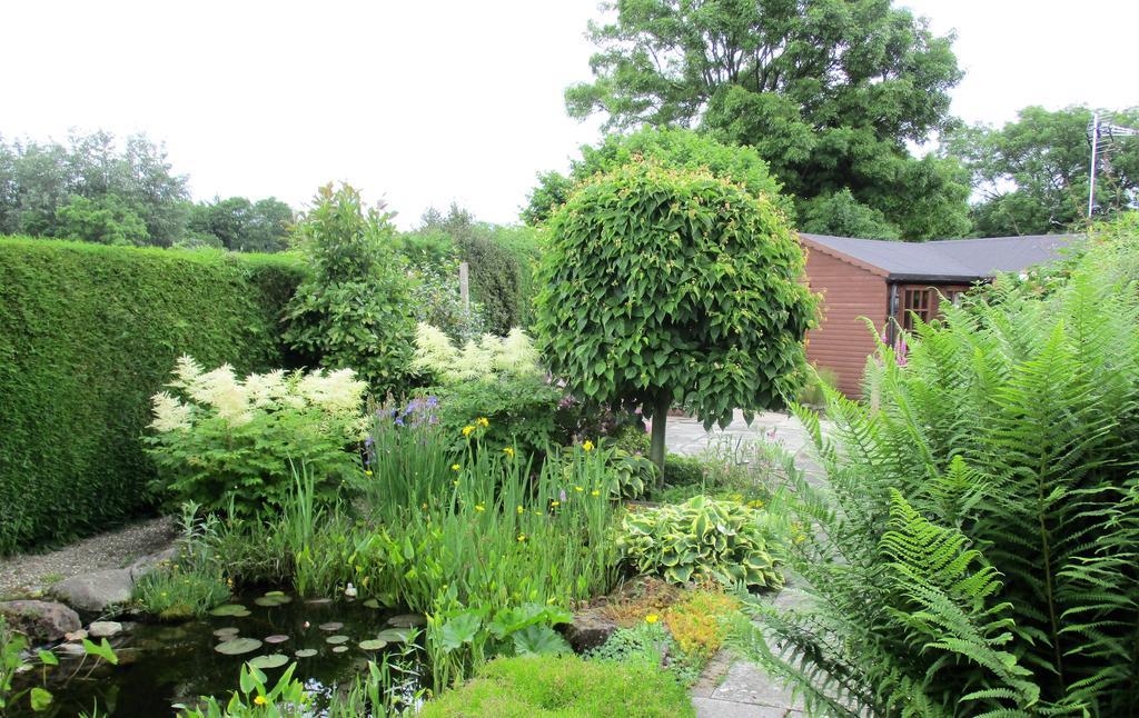 The Garden Lodge Llynclys Kültér fotó